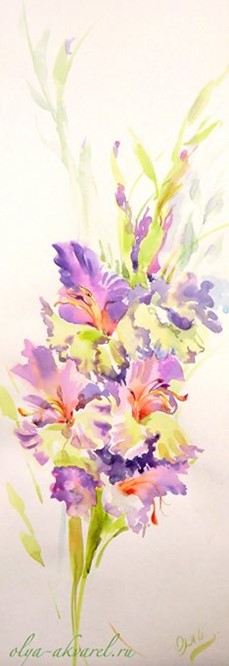 гладиолусы цветы в картинах живопись акварелью купить у художника Цурина Ольга