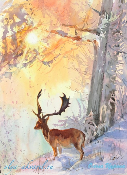 Цурина Ольга акварель художник картина олень зима солнце мороз