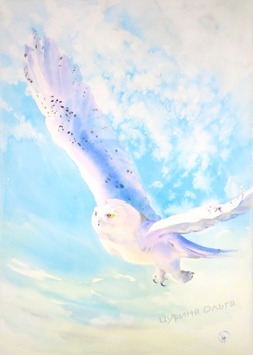 картина феншуй символ полярная сова купить у художника Ольга Цурина